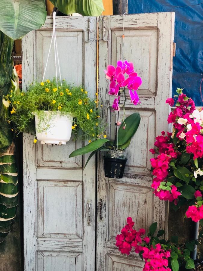 Golden Lantern Tam Thanh Homestay タムキー エクステリア 写真